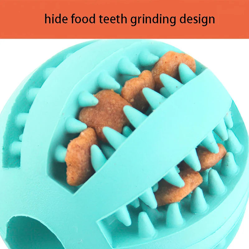 Rubber Dog Chewing Toy