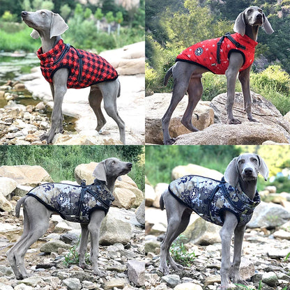 Pet Waterproof Winter Jacket With Harness