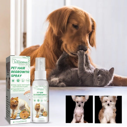 Dog Body Skin Coat Spray For Optimal Health