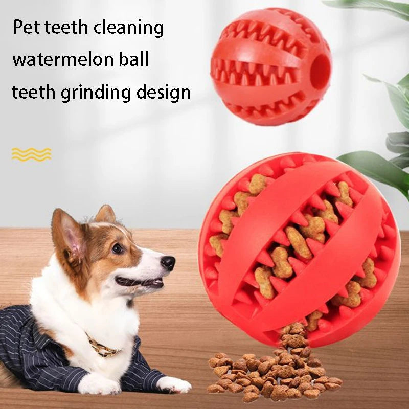 Rubber Dog Chewing Toy