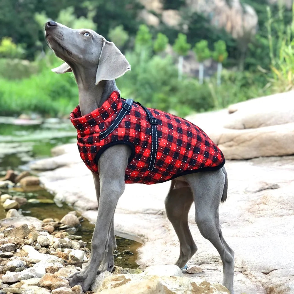 Pet Waterproof Winter Jacket With Harness