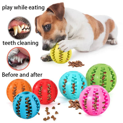 Rubber Dog Chewing Toy