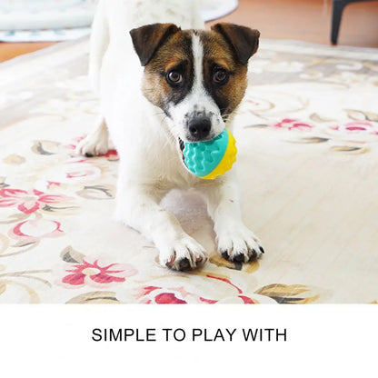 Dog Toy for Oral Health Dog Toy Ball