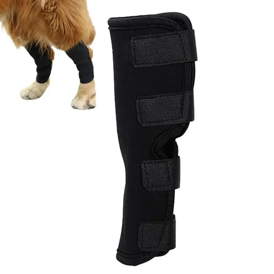 Dog Support Brace For Leg Injury Recovery