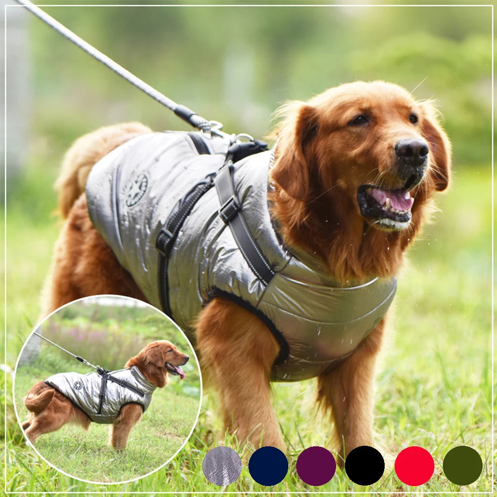 Pet Waterproof Winter Jacket With Harness