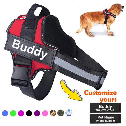 EclipseZen™ Personalized No Pull Dog Harness